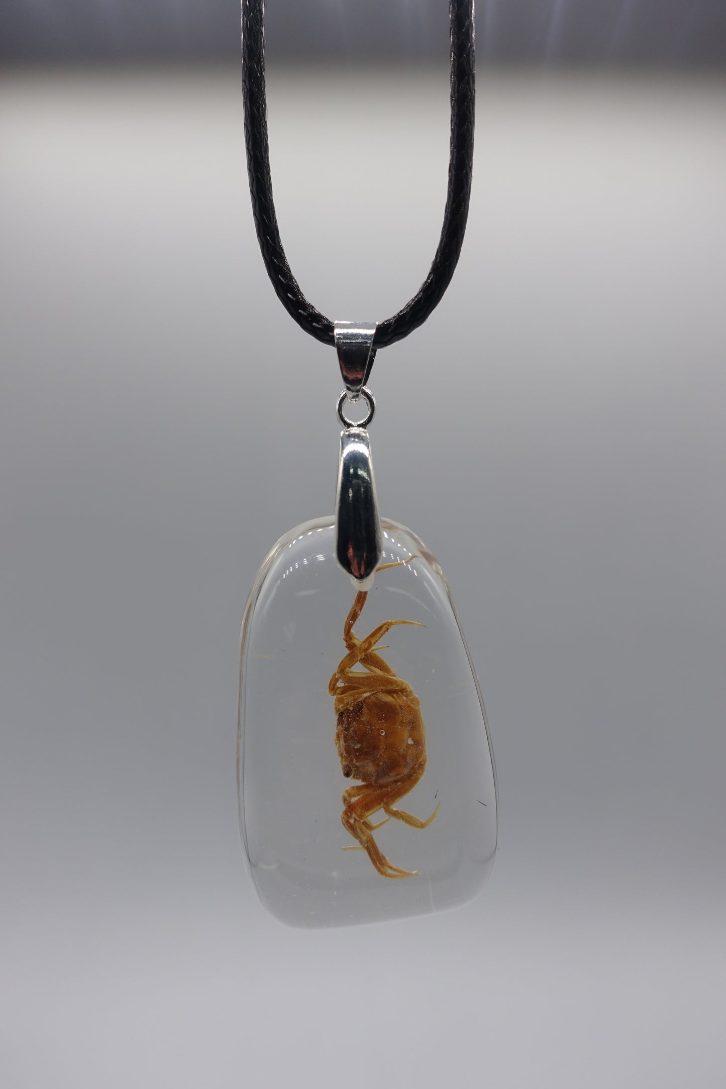 crab necklace real insect melted into resin beach souvenir FANTASTIC