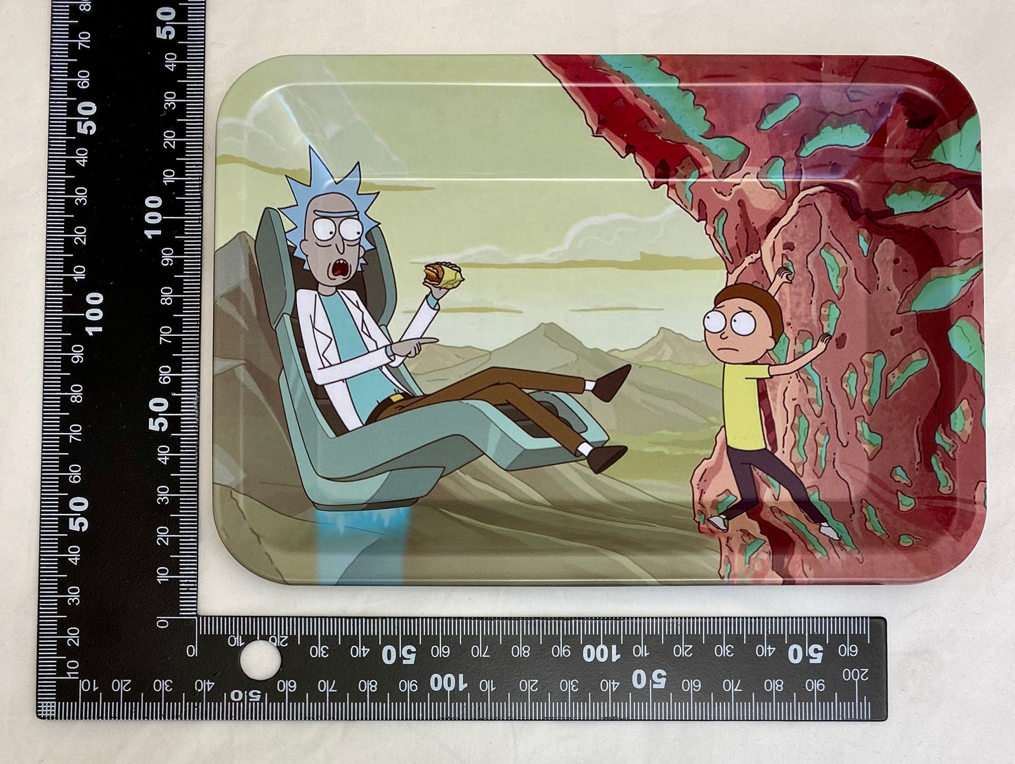 Tray printed SMALL SIZE R&M SIT