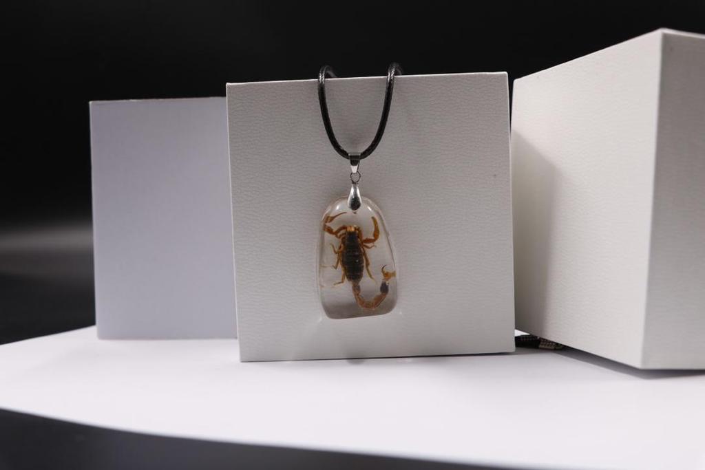 scorpion necklace real insect melted into resin beach souvenir FANTASTIC wholesale
