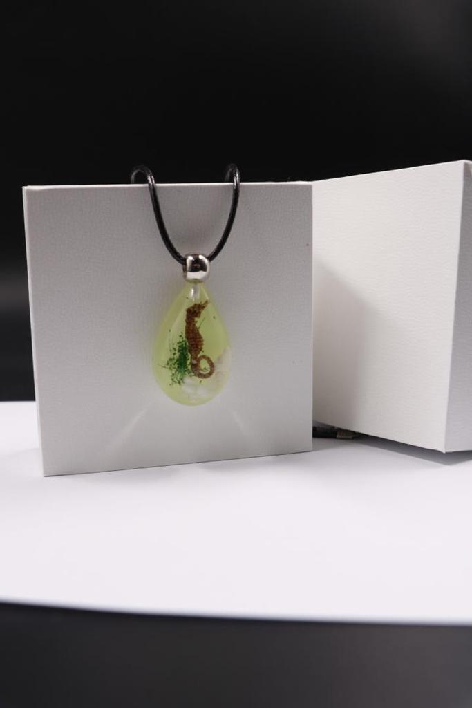 seahorse necklace real insect melted into resin beach souvenir FANTASTIC wholesale