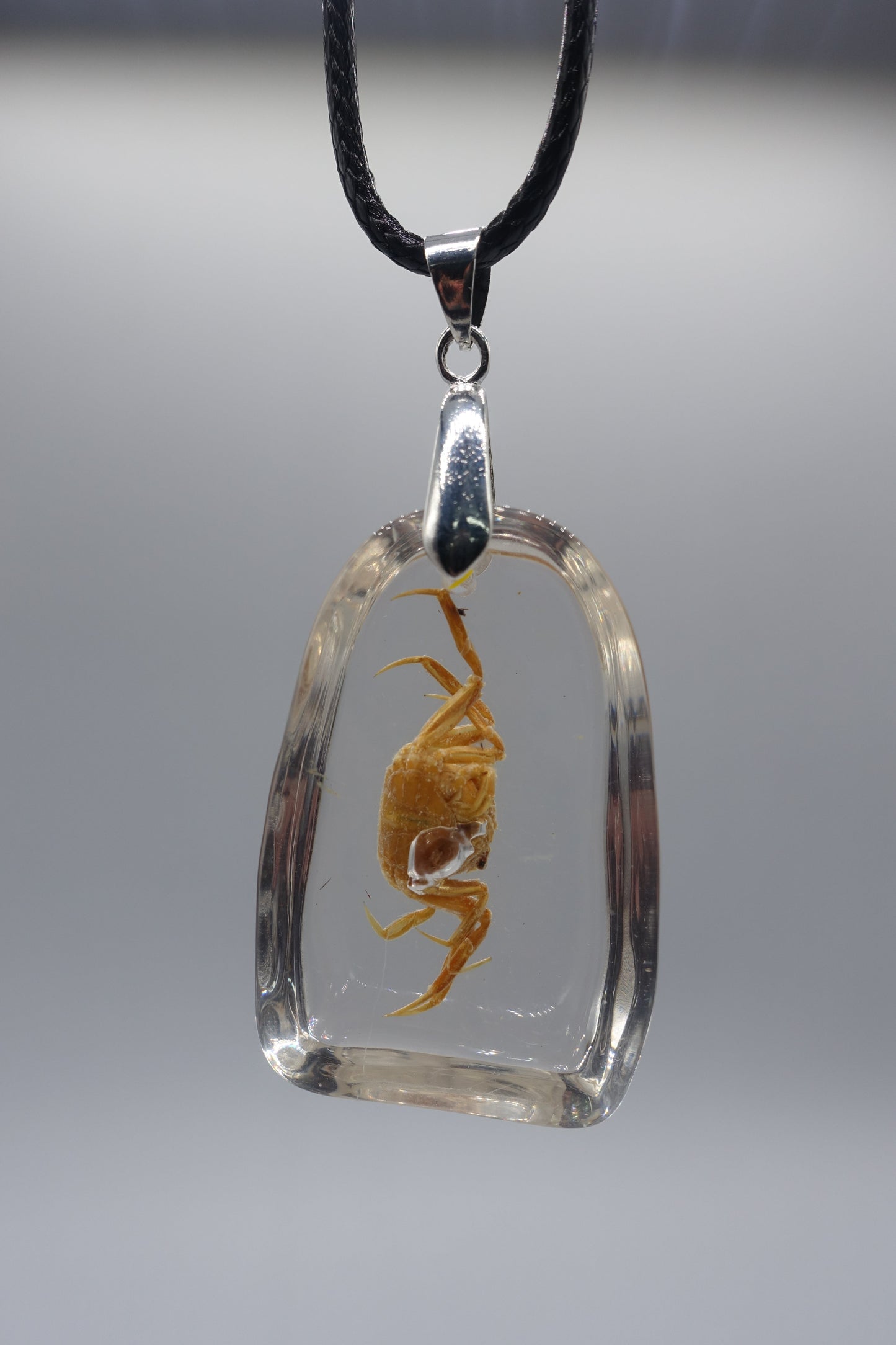 crab necklace real insect melted into resin beach souvenir FANTASTIC wholesale