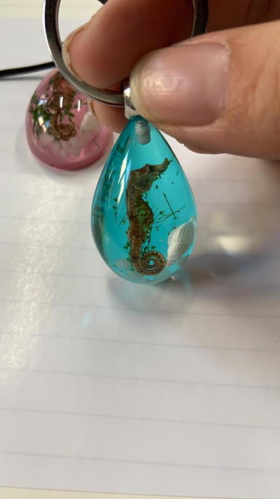 seahorse necklace real insect melted into resin beach souvenir FANTASTIC