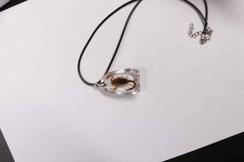 scorpion necklace real insect melted into resin beach souvenir FANTASTIC