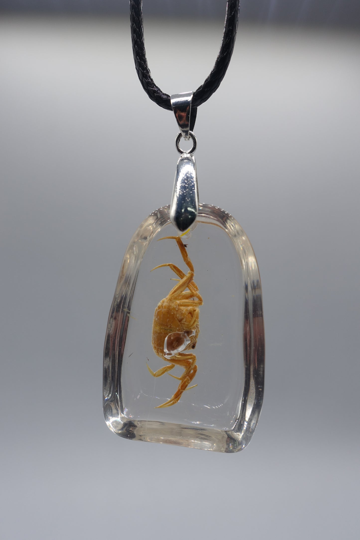 crab necklace real insect melted into resin beach souvenir FANTASTIC