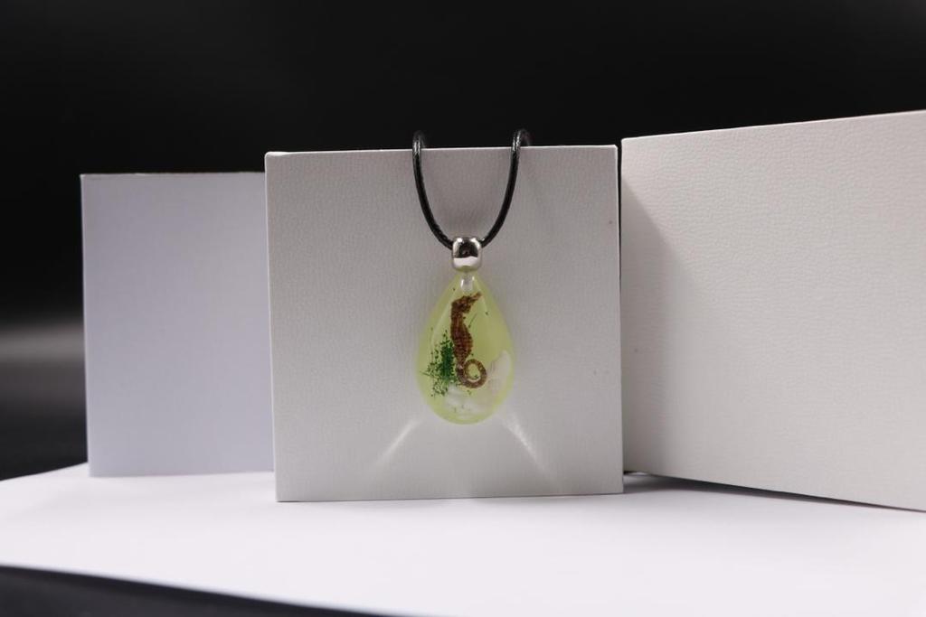 seahorse necklace real insect melted into resin beach souvenir FANTASTIC