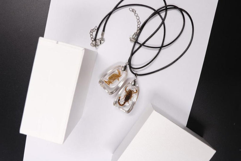 scorpion necklace real insect melted into resin beach souvenir FANTASTIC